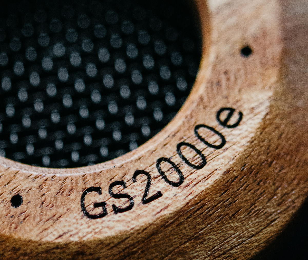 GS2000e-holz.jpg